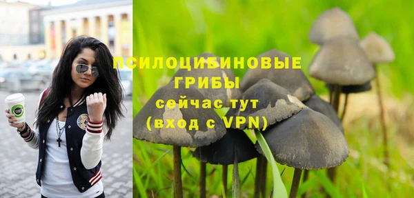 гашик Беломорск