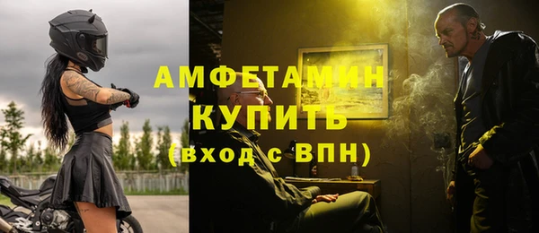шишки Белокуриха