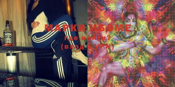 шишки Белокуриха