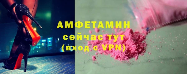 шишки Белокуриха