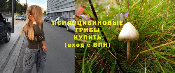 гашик Беломорск