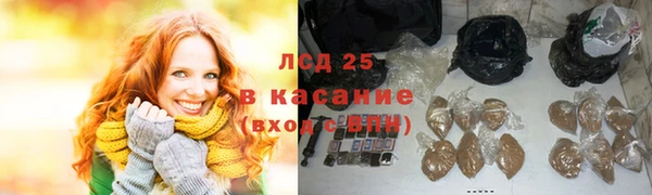 шишки Белокуриха