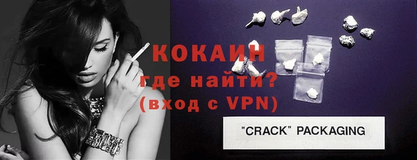 шишки Белокуриха