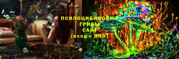 гашик Беломорск