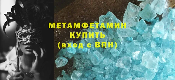 шишки Белокуриха